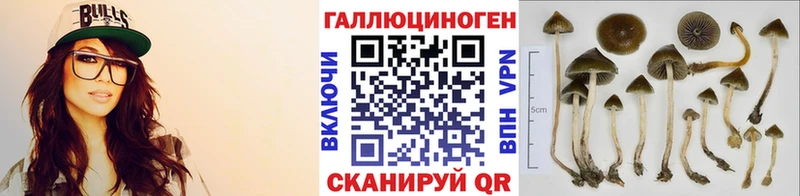 площадка как зайти  мега зеркало  Завитинск  Галлюциногенные грибы Cubensis 
